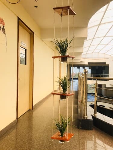 Inter National Institute of Fashion Design Raipur Activities photo 34